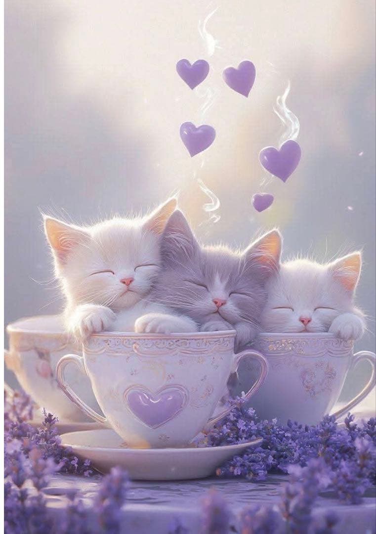 ♡専用ページ♡