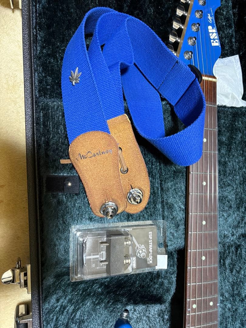 ギター ESP SNAPPER Tae BanG Dream!