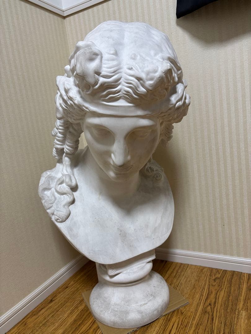 石膏像 アリアス