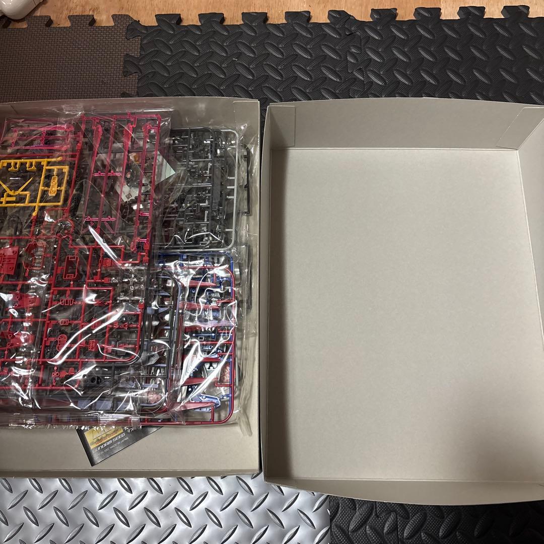 MG デスティニーガンダム