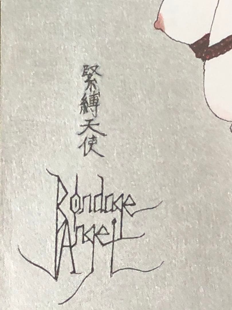 緊縛天使　蜘蛛ノ巣　Bondage angel Spider's Web