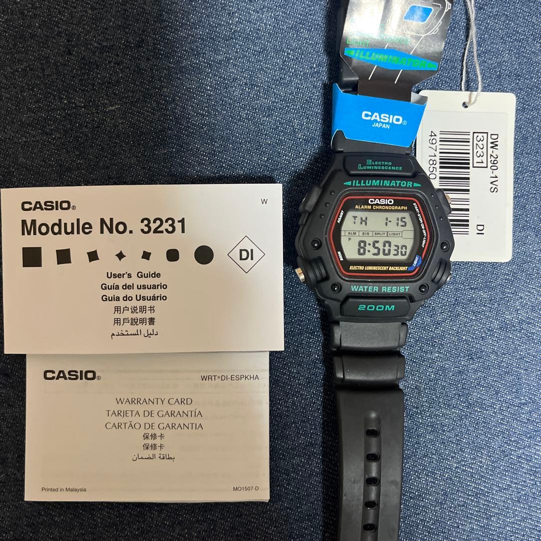 CASIO DW-290-1（説明書付き）