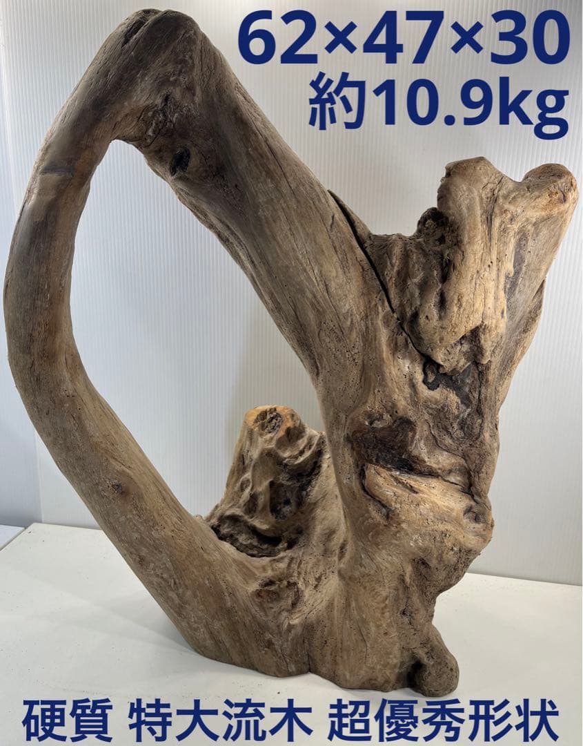 m10特大流木 アク抜き済み 爬虫類シェルター 登り木 インテリア オブジェ