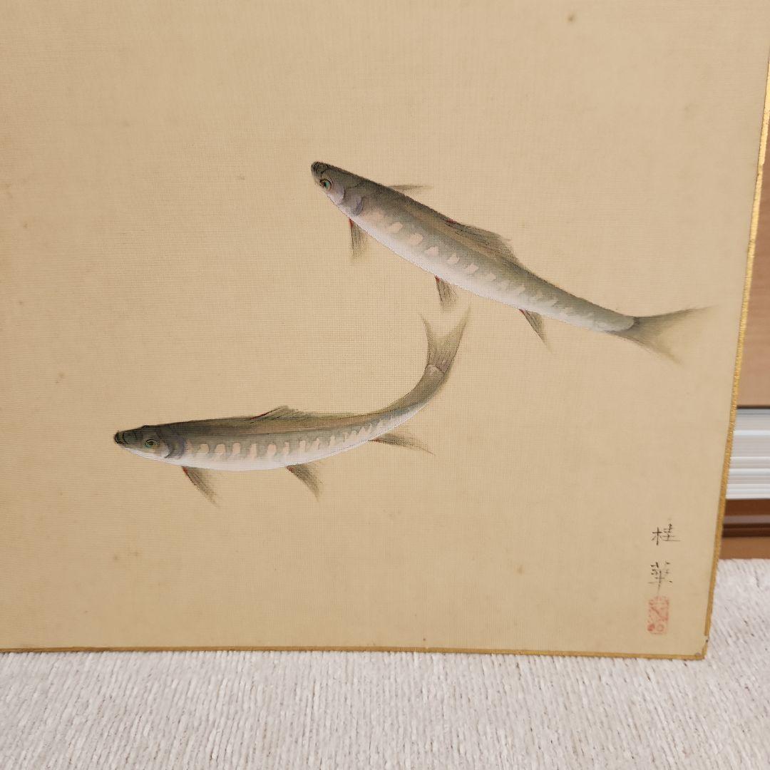 日本画家金島桂華の山女の双魚