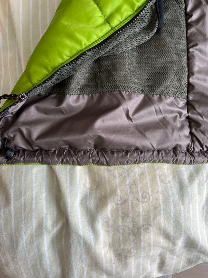 patagonia / DAS PARKA (ゲッコーグリーン）Mサイズ