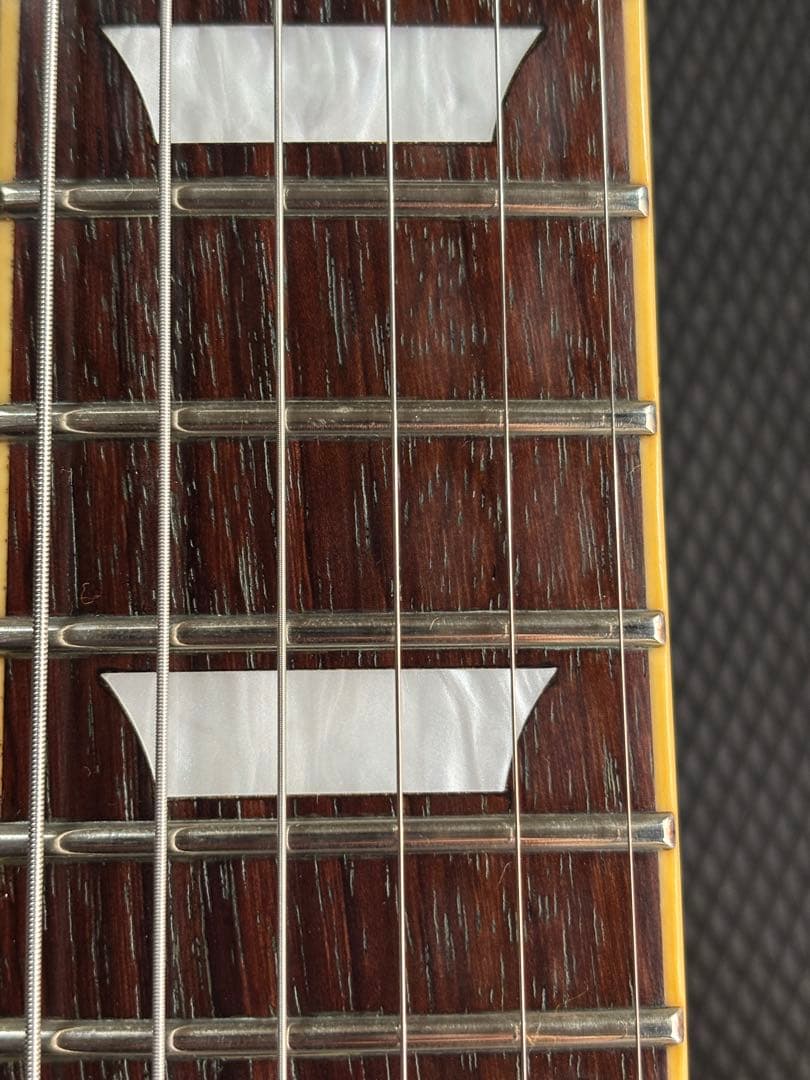 横山健　aloha レスポール　Edwards