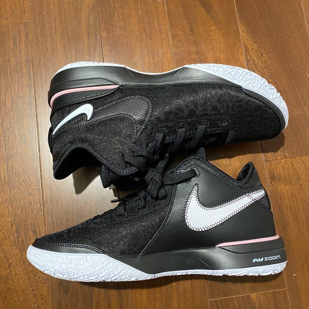 新品未使用　NIKE ZOOM LEBRON NXXT Gen EP