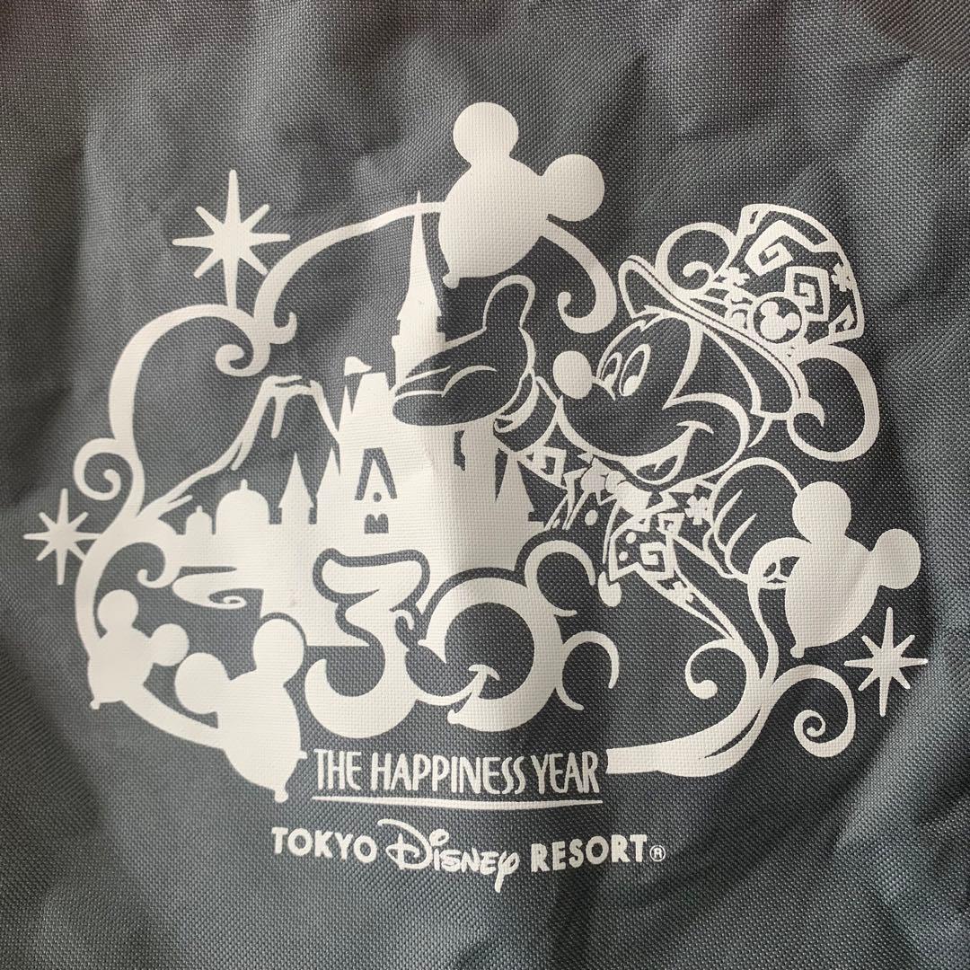 東京ディズニーリゾート×LOGOS アウトドアチェアセット　非売品　ピクニック