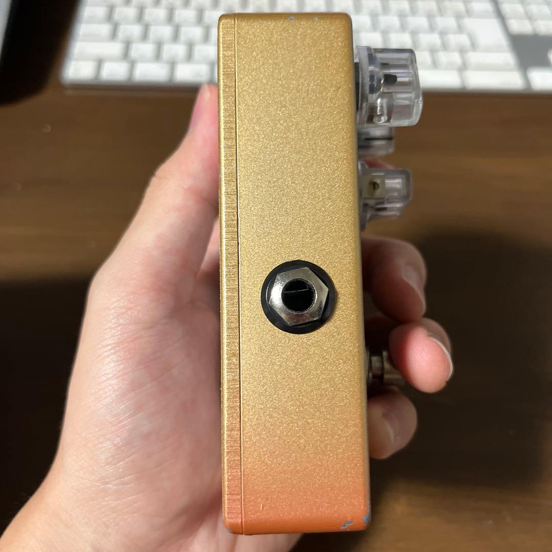 ギター vivie ferrecomp