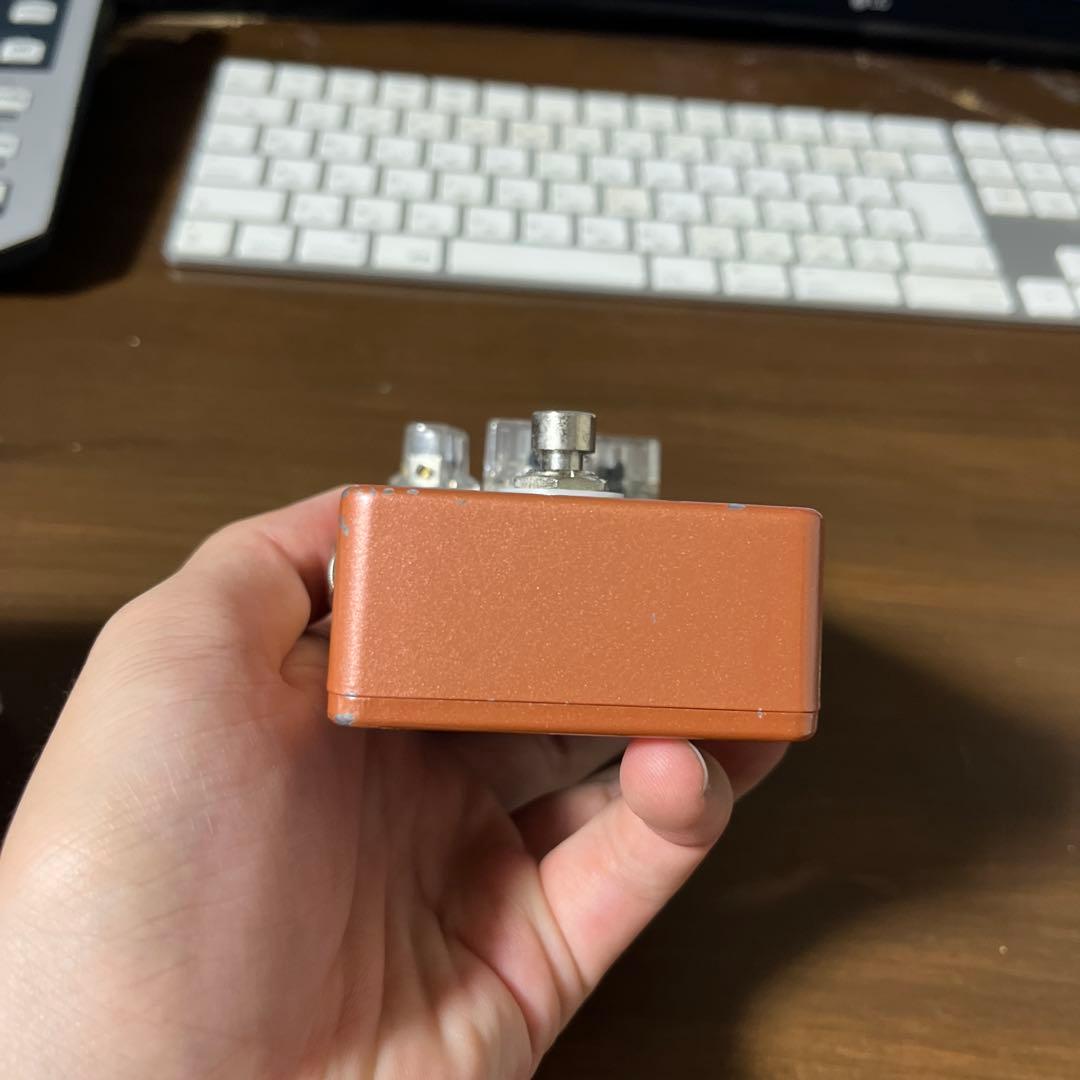 ギター vivie ferrecomp