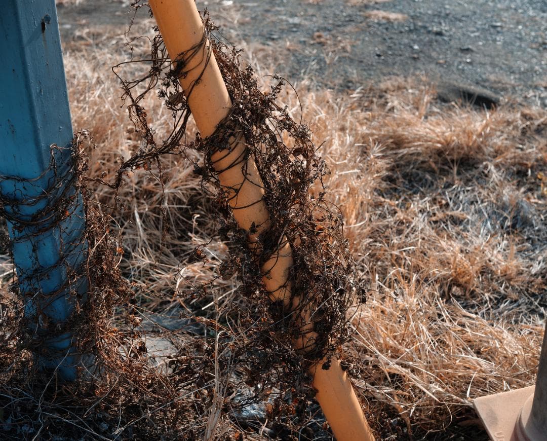 【割引中】SIGMA fp フルセット（45mmレンズ付・他多数）【動作良好】