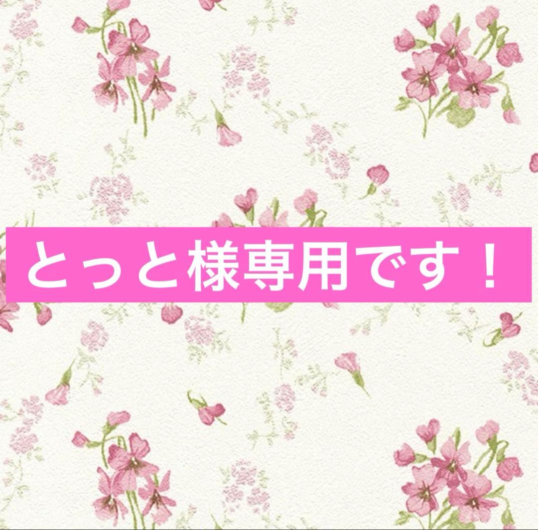 コストコ ズートピア