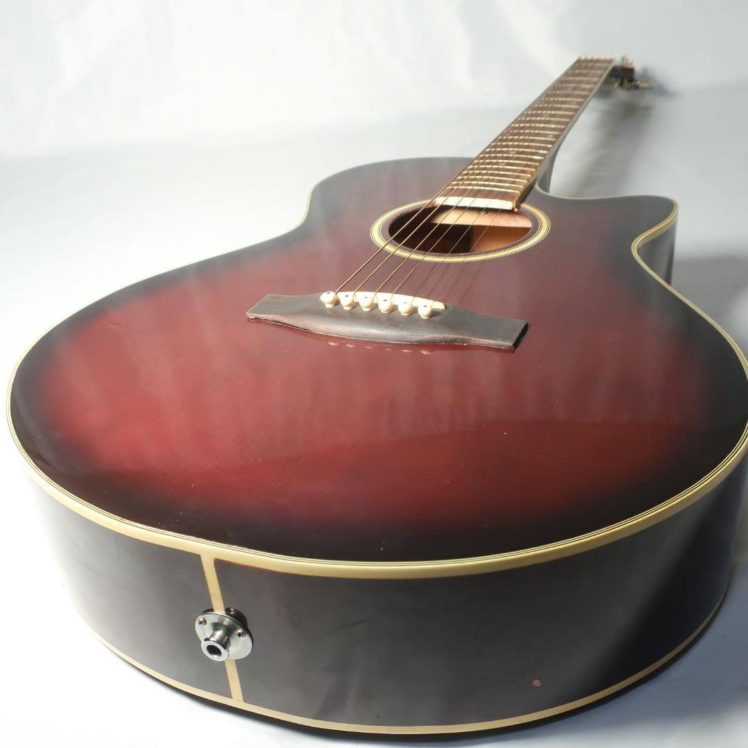 Pro Martin EAW-350 WRS エレアコ ギター ケース付