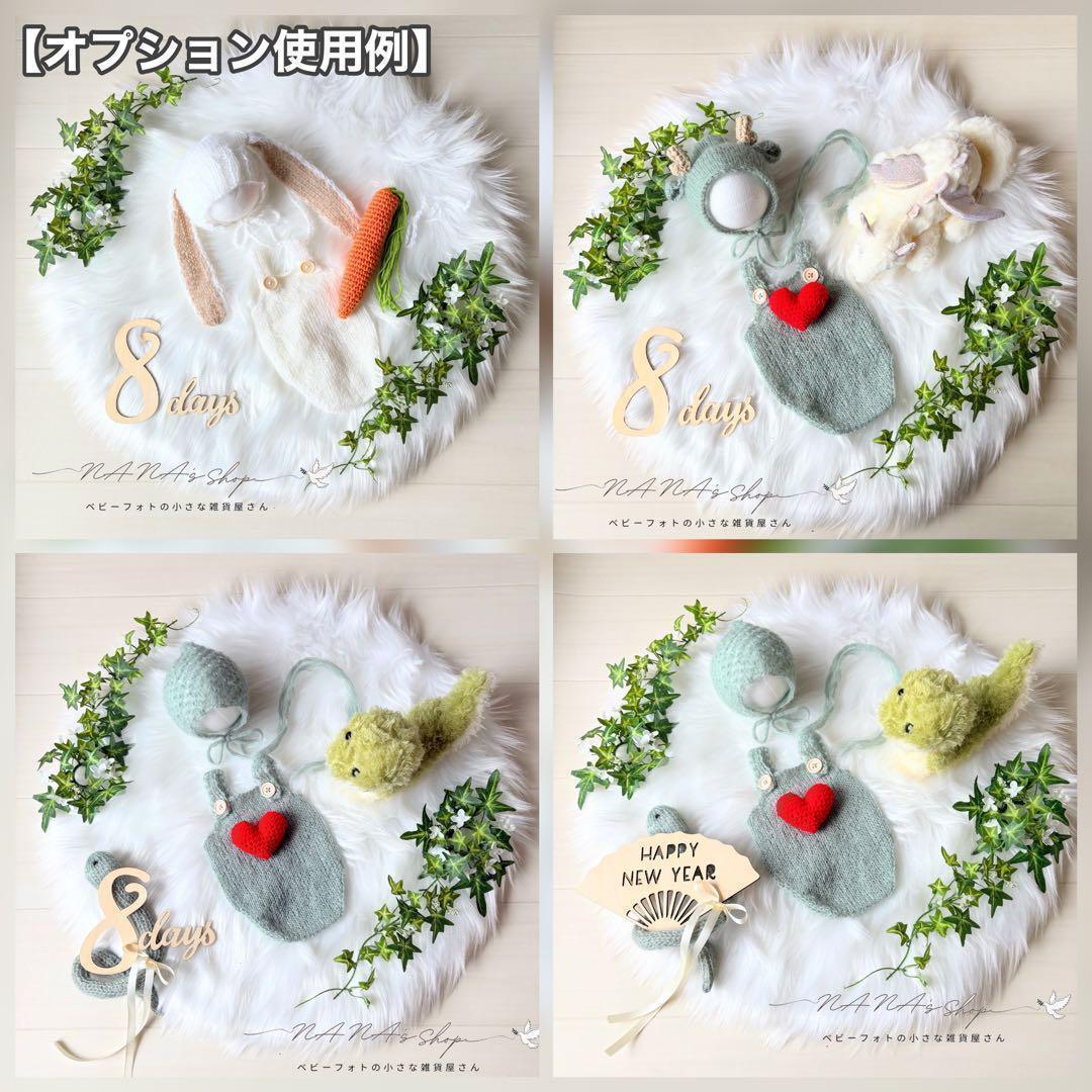 Lかごセット【抹茶へび】♪ニューボーンフォト撮影衣装 小道具ベビーフォト干支