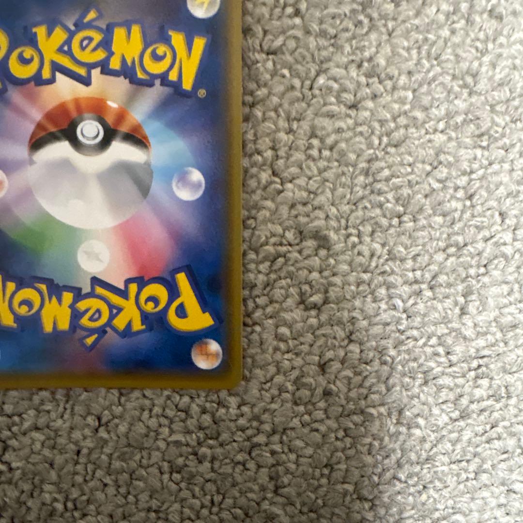 ポンチョを着たイーブイ リーフィア