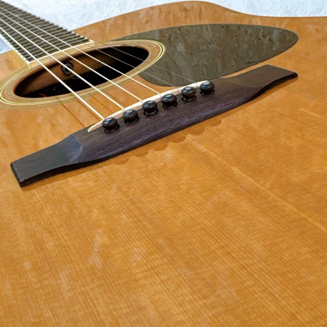 Rider CUSTOM MODEL R-500 アコースティックギター 林楽器