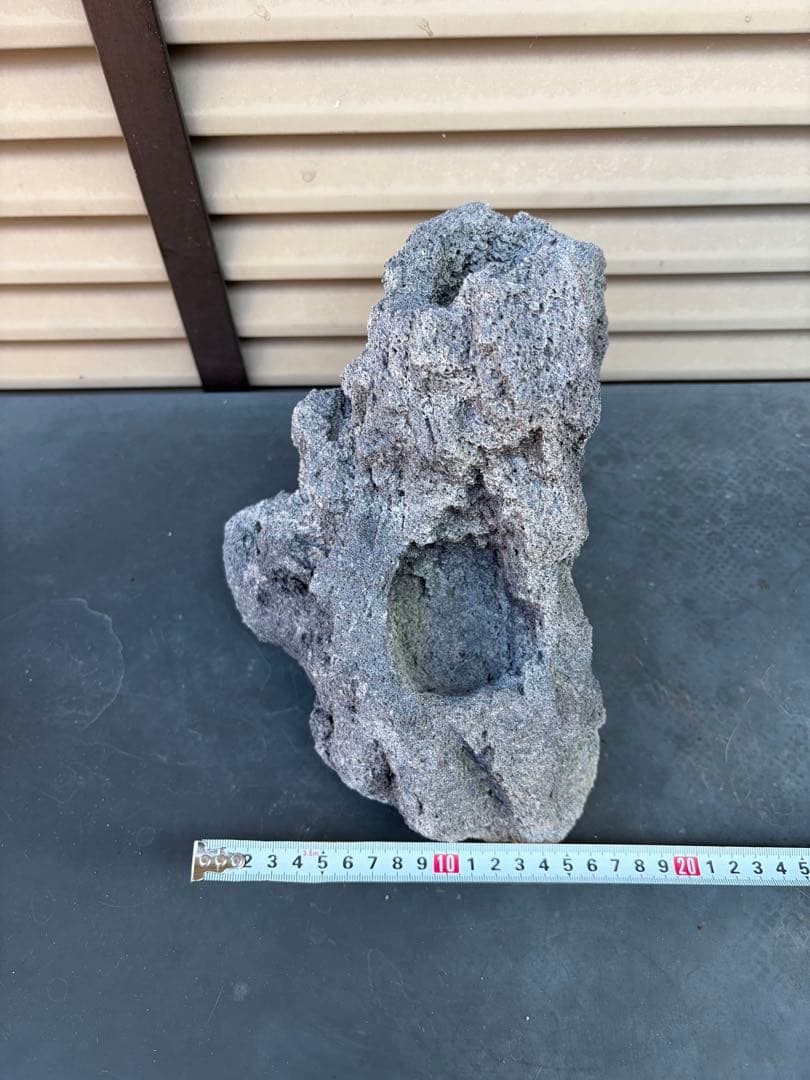 ADA雲山石5個セット