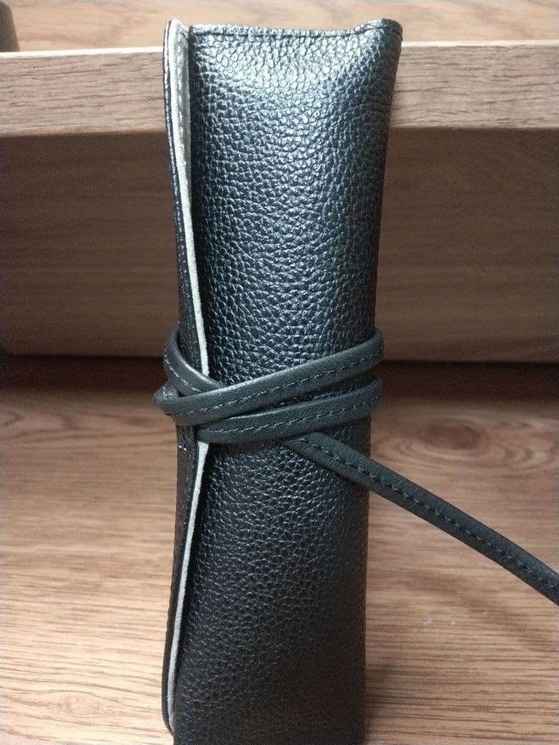 パイロット万年筆カスタム 槐 エンジュ モクメ　18K-750 15 F