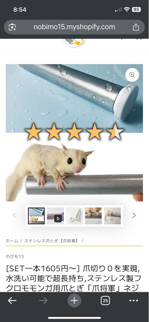 フクロモモンガ　アクリルケージ　飼育に使う諸々16点セット