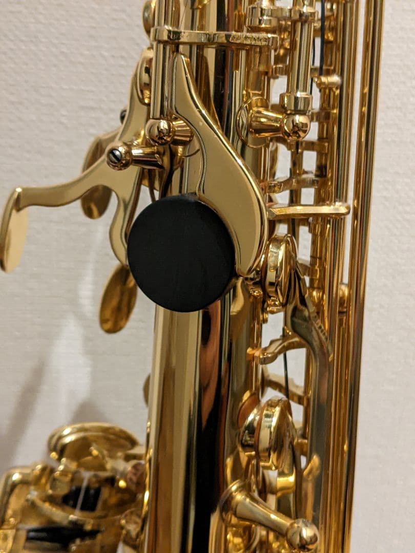 【美品】Mavis Eleganceシリーズ ソプラノサックス　SELMER