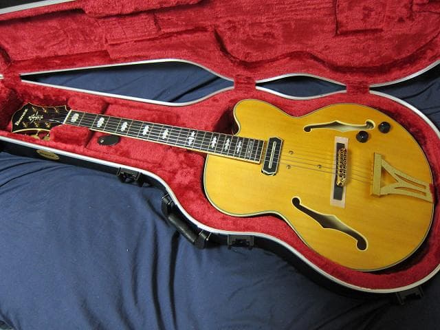 cotrane様　Ibanez PM3C Natural Amber