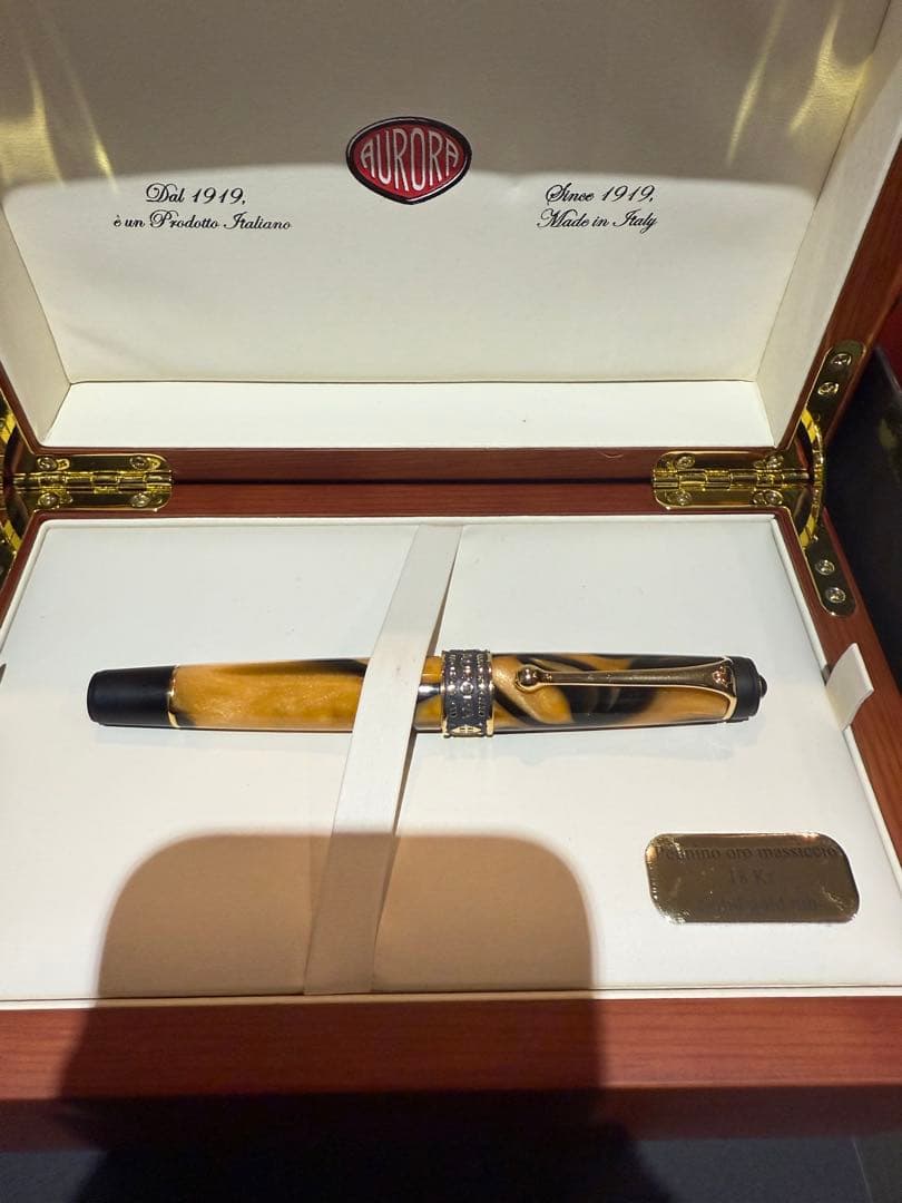 アウロラ万年筆　アフリカ　ef