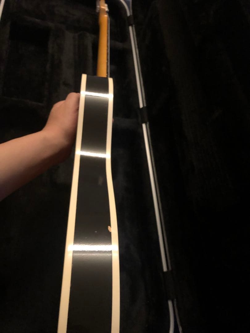 Vanzandt tlv-R2 ハードケース付き