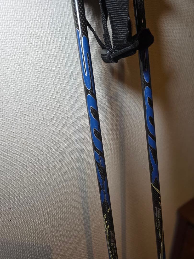 SWIX Cobra CT2 カーボン スキーポール 115cm 競技・上級