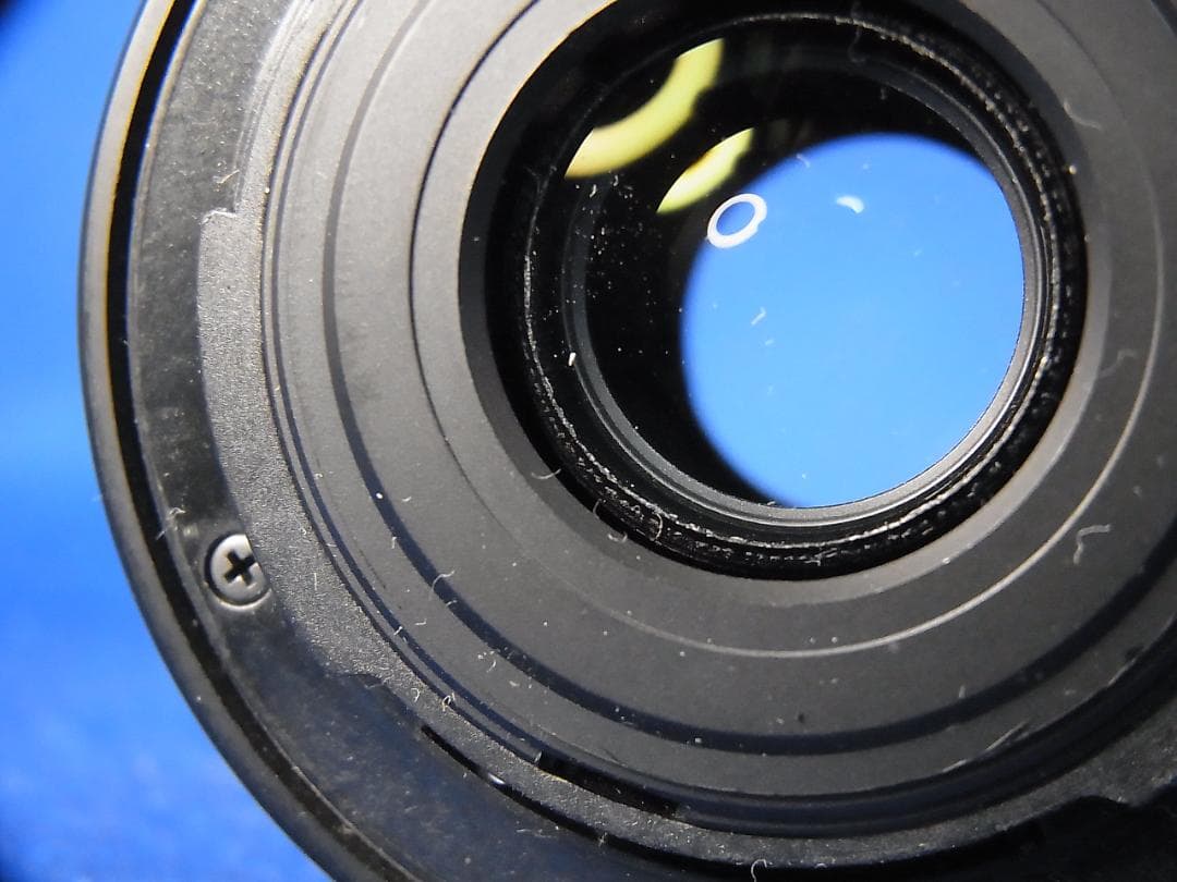 #3547 PENTAX K-30 黒死病 LiveViewにて撮影