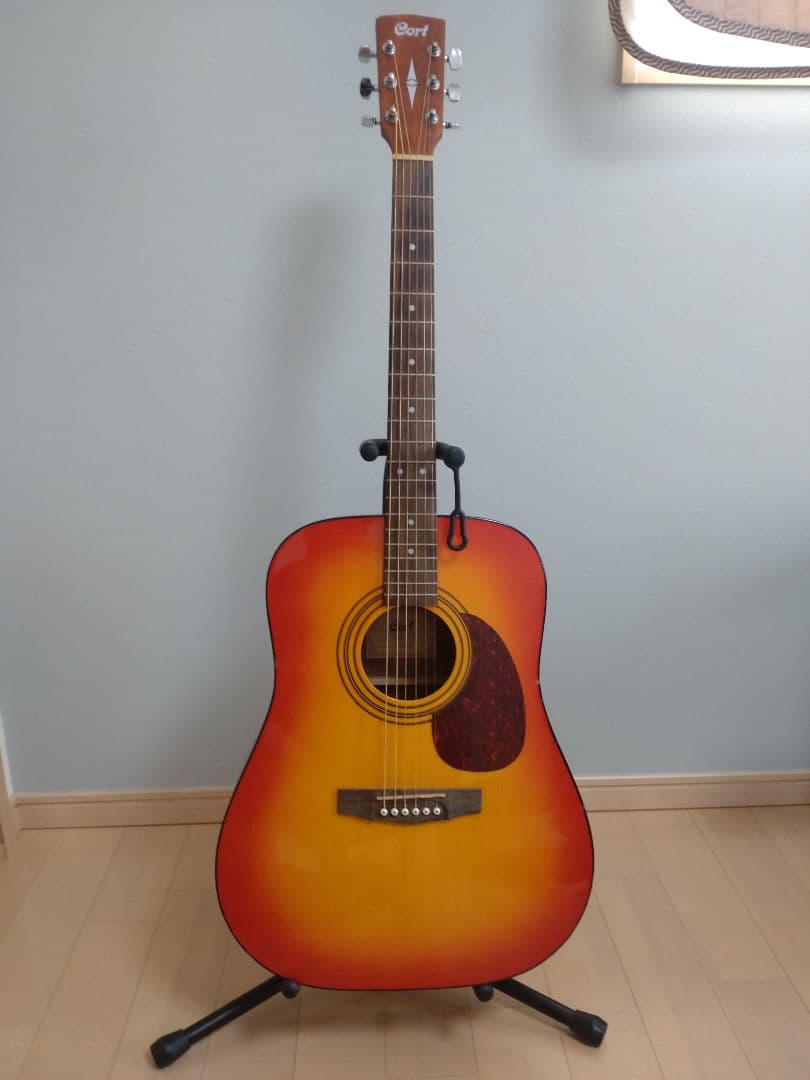 cort アコースティックギター