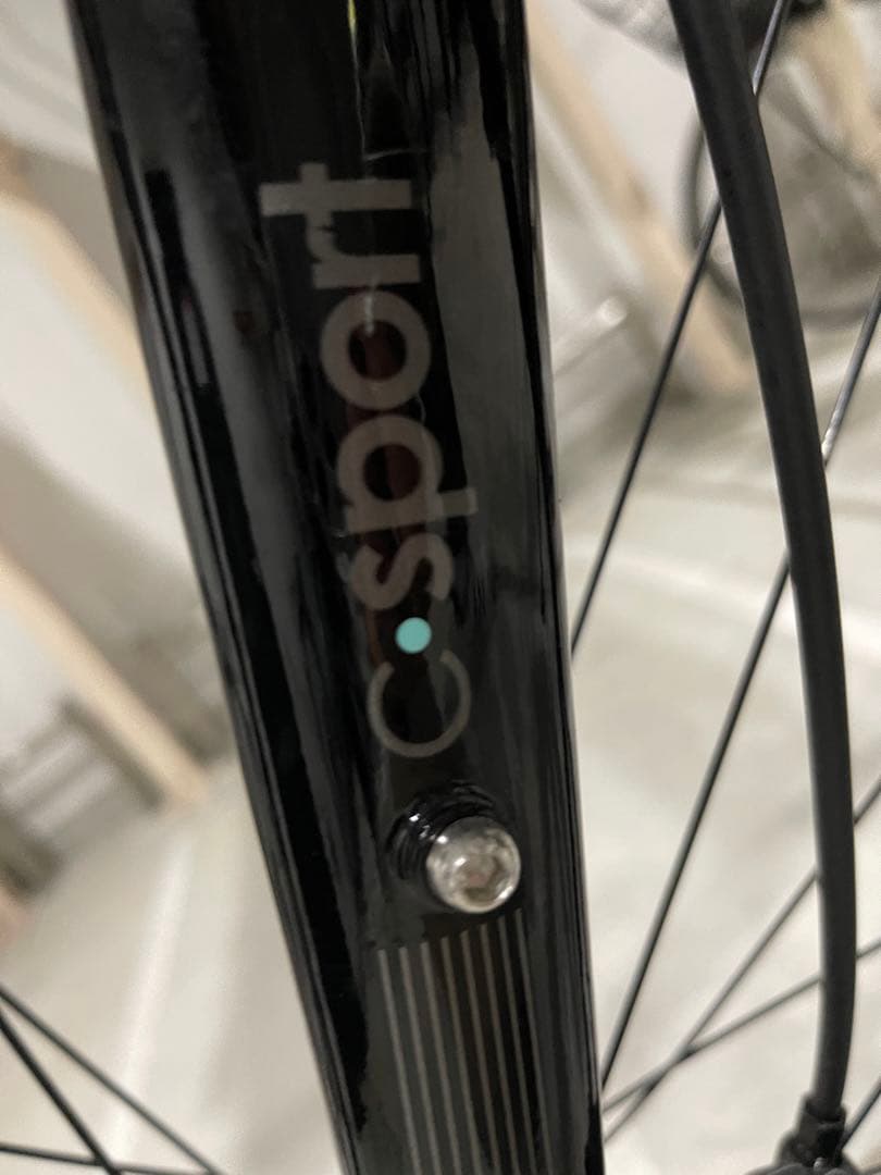 ビアンキ(bianchi)2021モデルc-sport2 51サイズ