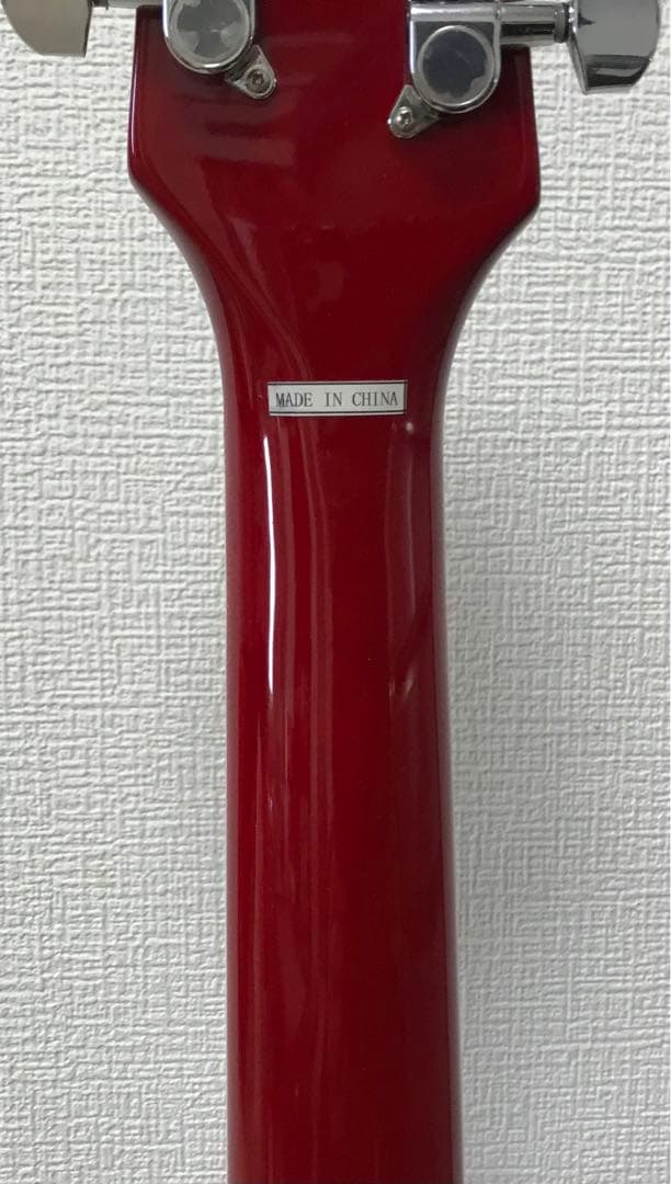 EASTWOOD Resonator Guitar サンバースト