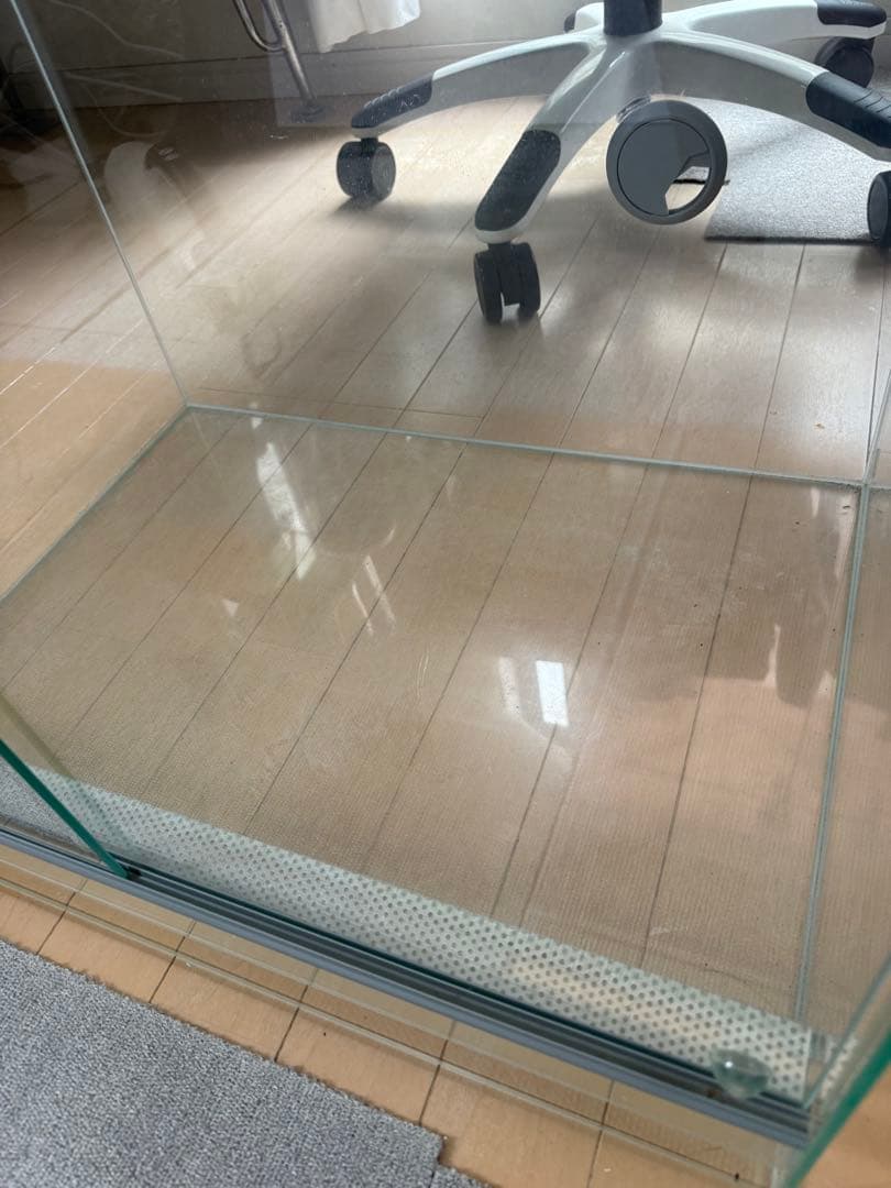 EHEIM レプタイルケージRC-6045(60×45×45cm) 植物　アグラ