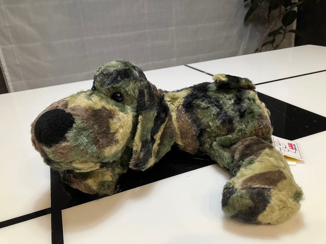 ★★ SONGです★★ 子犬のるーくL　カモフラフィールド