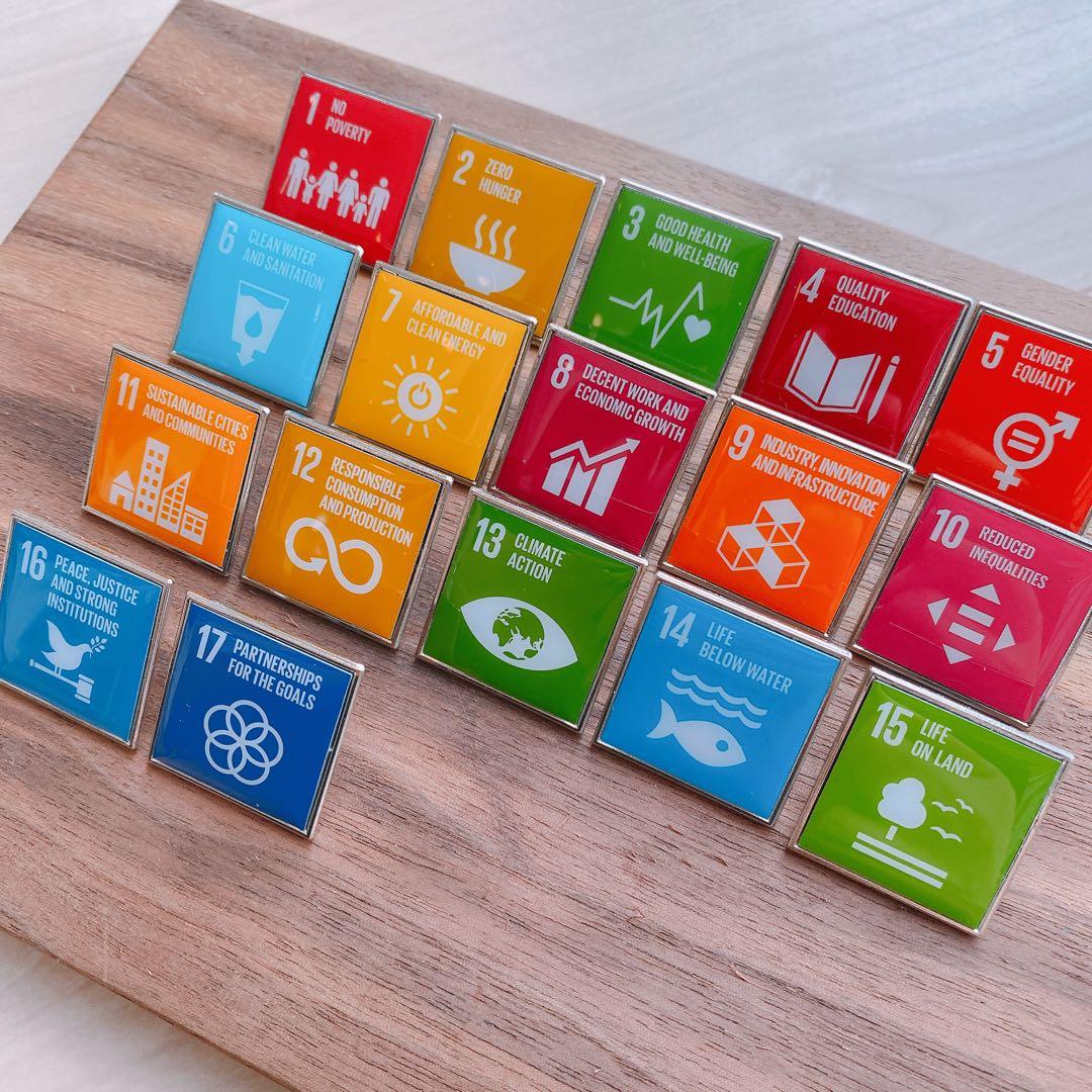 【特価セール】セット販売 SDGs ピンバッジ 【国連本部入手品】