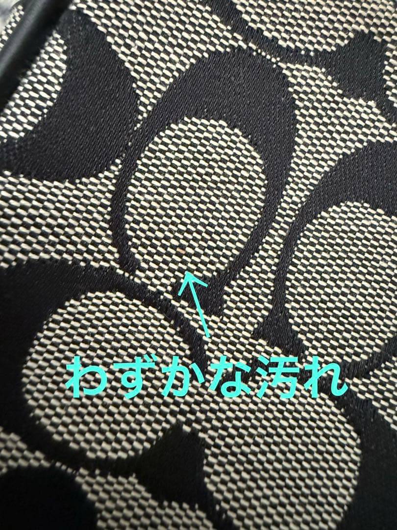 COACH コーチ ミニハンドバッグ ポーチ 保存袋付き