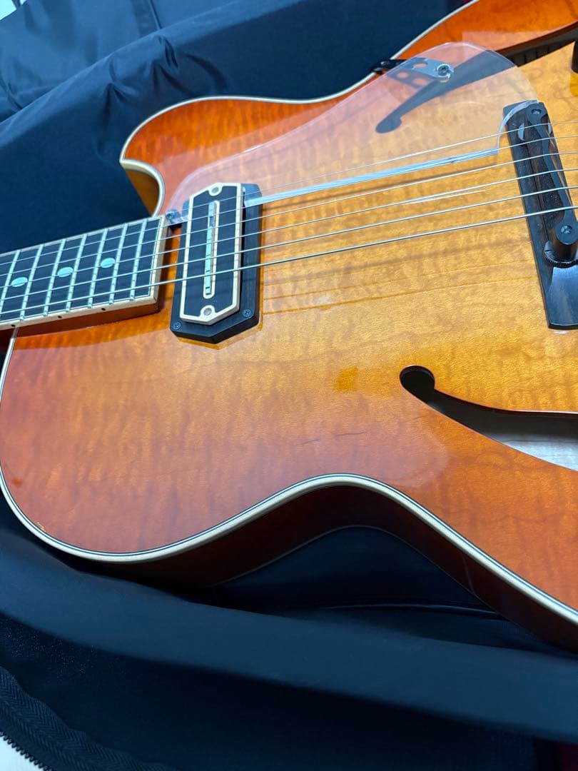 westville aruba crest 純正ケース付き　フルアコ