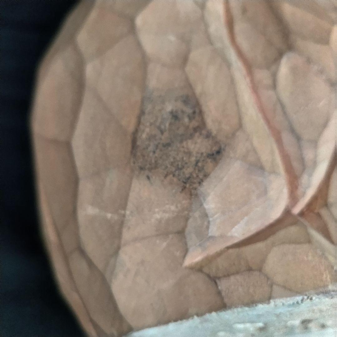 八雲 柴崎重行 彫刻熊 サイン 志 1990 木彫り 熊 鑑定書無し