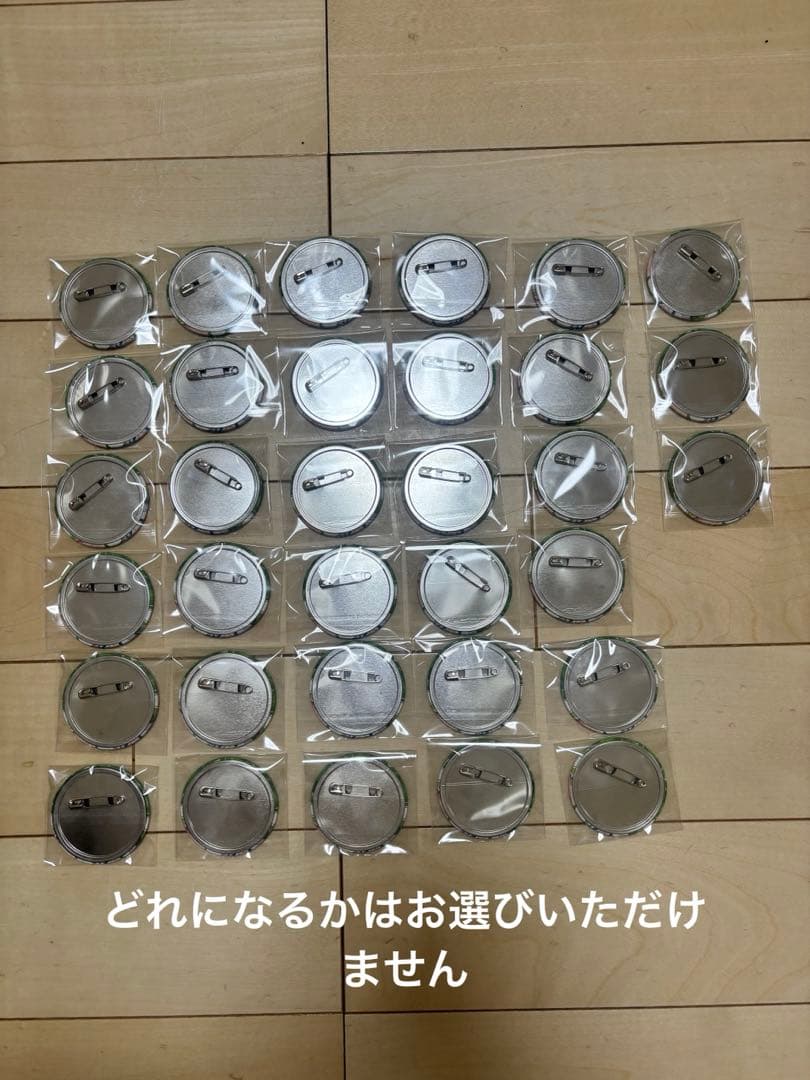 からぴち　カラフルピーチ　からぴちパラダイス2025 じゃぱぱ　缶バッジ