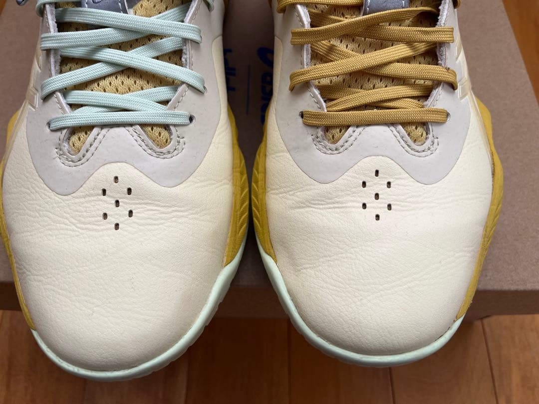 シューズ(男性用) asics nova surge low2 ballaholic 27.5