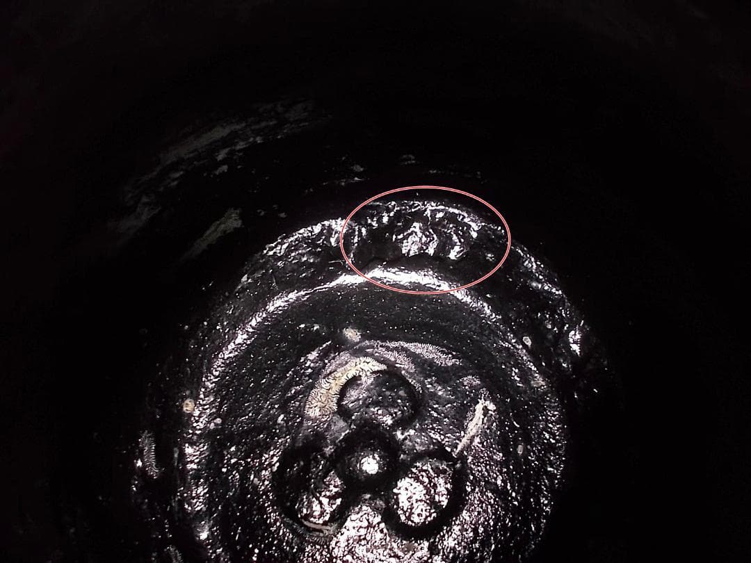 未使用保管品 釜師:菊池政光 紹鴎好写 鶴首釜 茶釜 釜環 共箱 送料込み