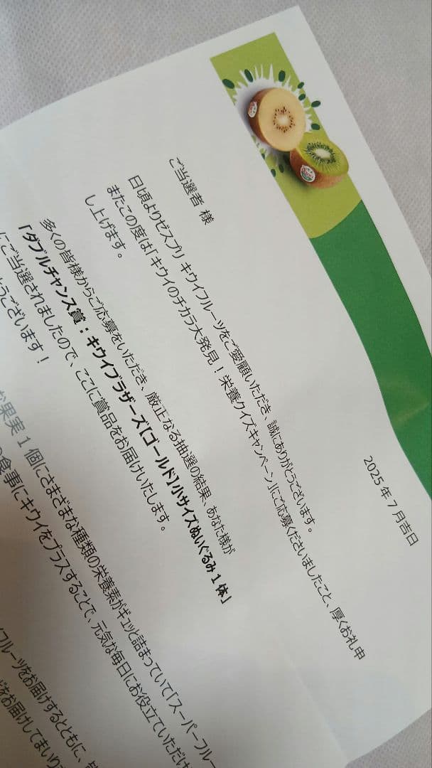 【非売品】キウイブラザーズ　小サイズ　ぬいぐるみ　2体セット