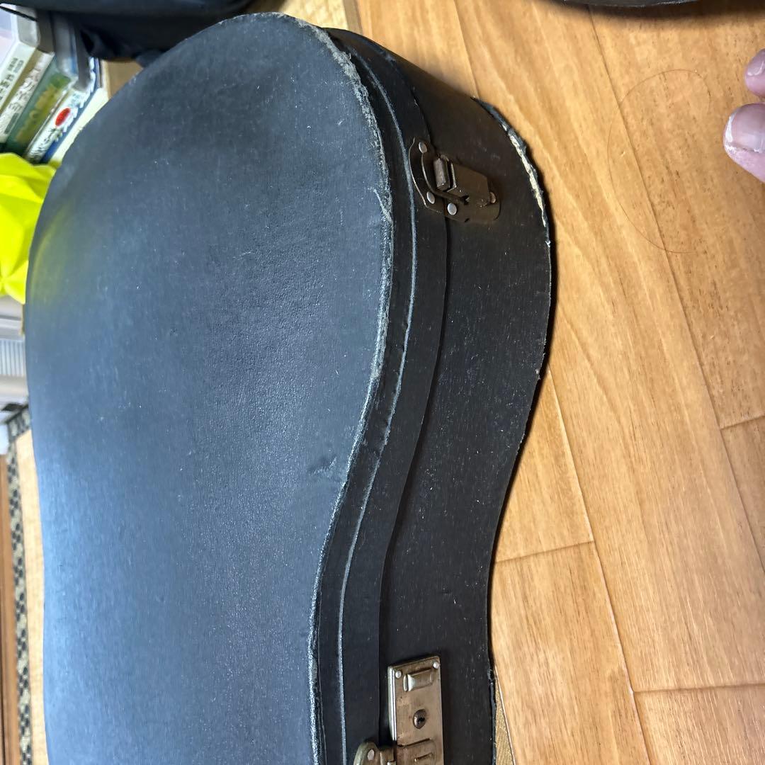 TEISCO EP-2L 1960年代 テスコ　サンバースト