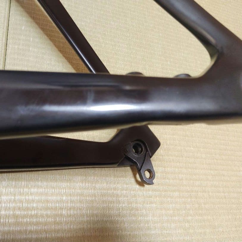 VITUS ZX1 EVO フレームセット Mサイズ ビチュー ヴィータス