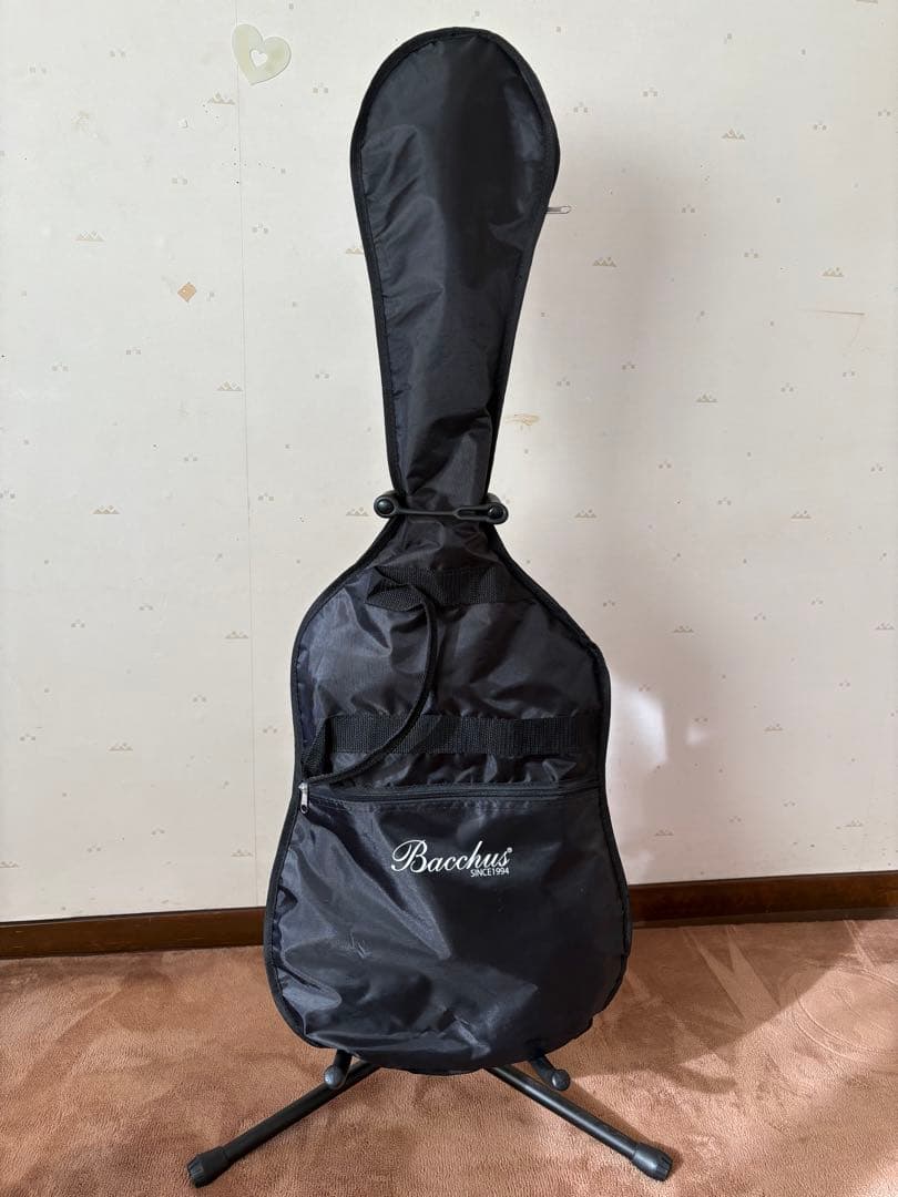 脱力様　FERNANDES フェルナンデス FR-75S （サスティナー搭載）