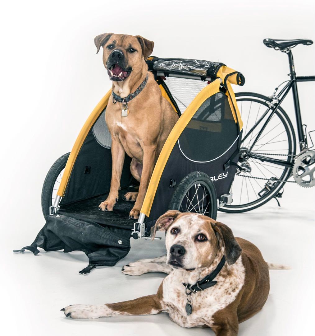 BURLEY ペットカート 自転車　専用　イエロー/ブラック