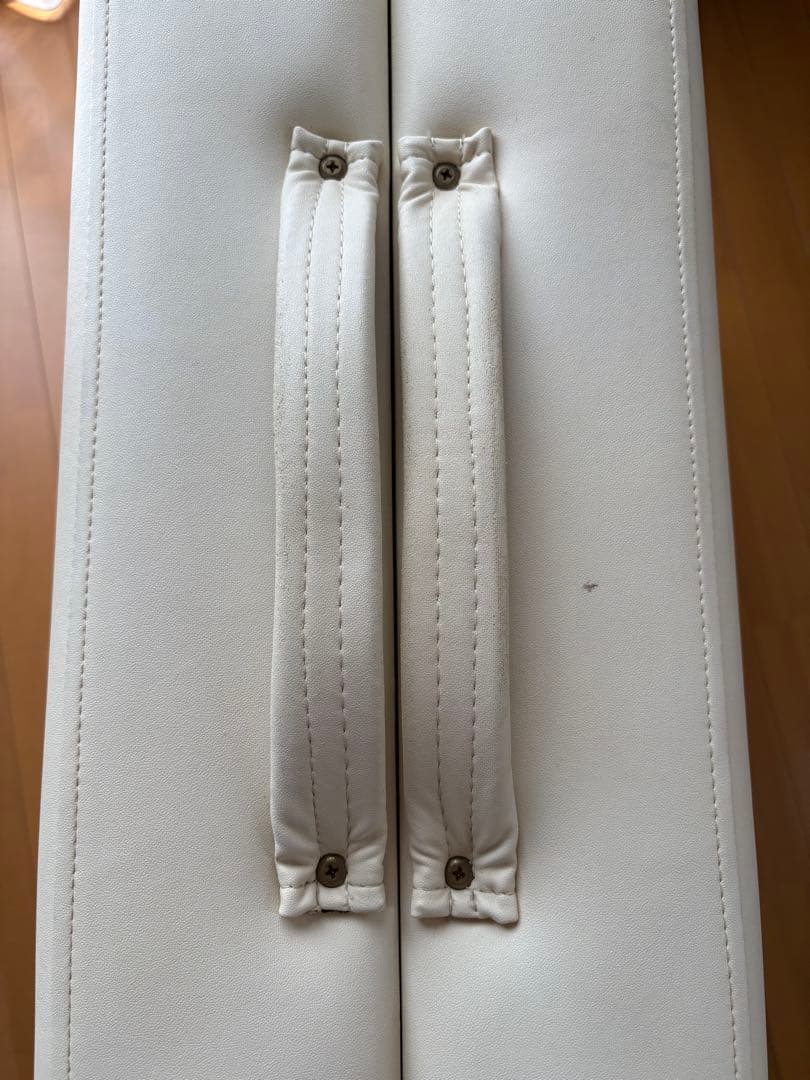 アースライト社製マッサージベッド