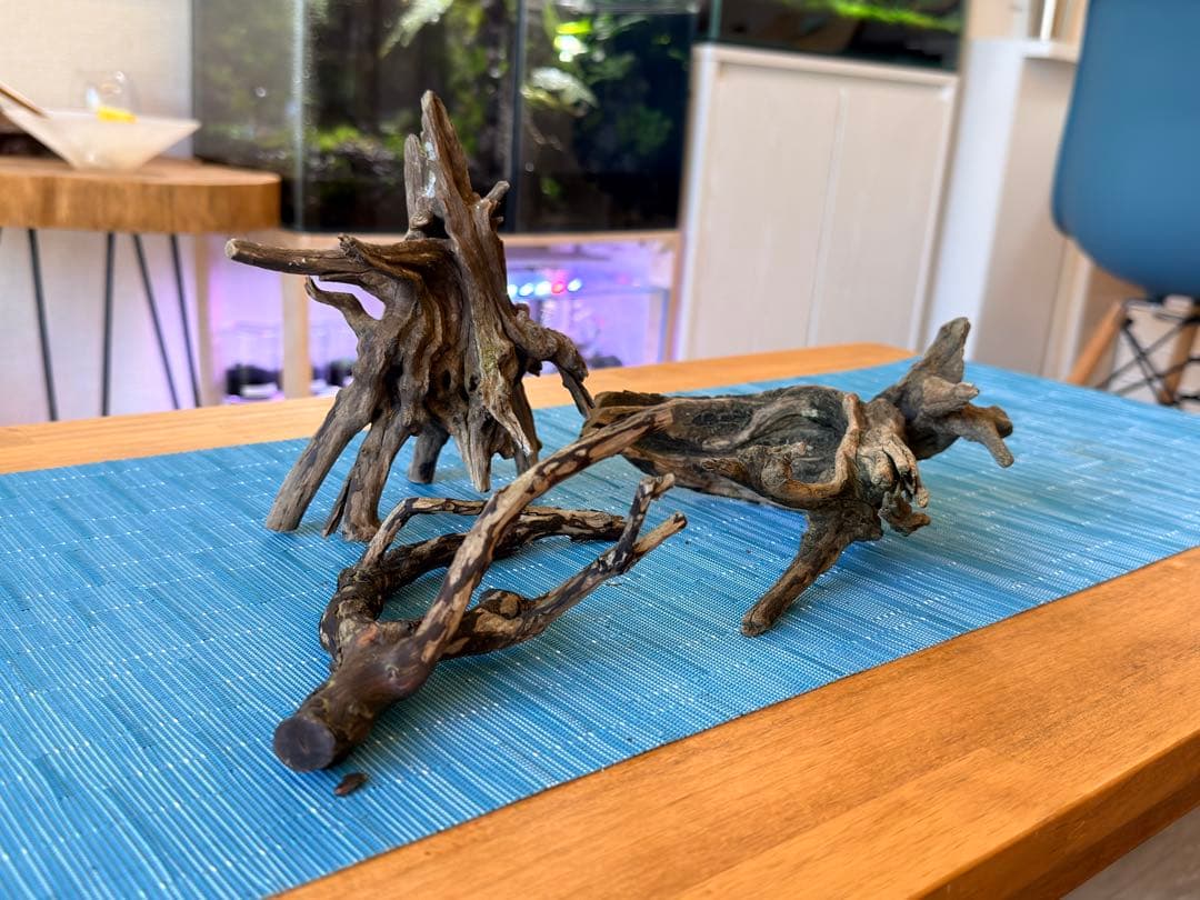 60cmスリム水槽 他16点セット