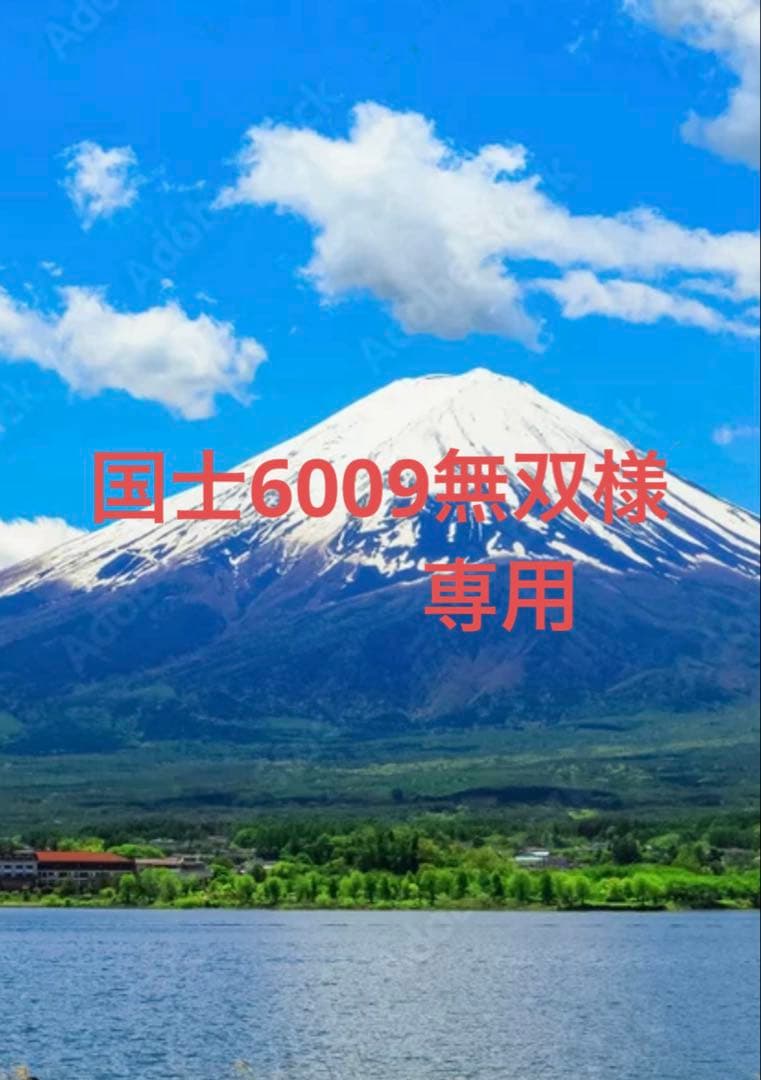 国士6009無双出品