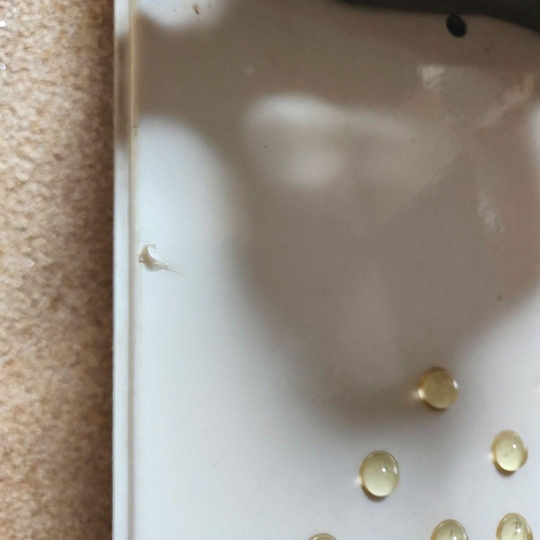 スノーボード ビンディング付 スノボ リブテクノロジーズ